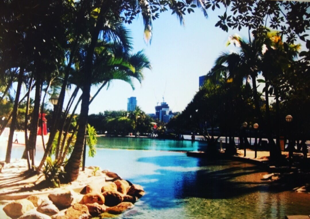 A man made beach in the South Banks Parklands in Brisbane, Australia 🇦🇺 