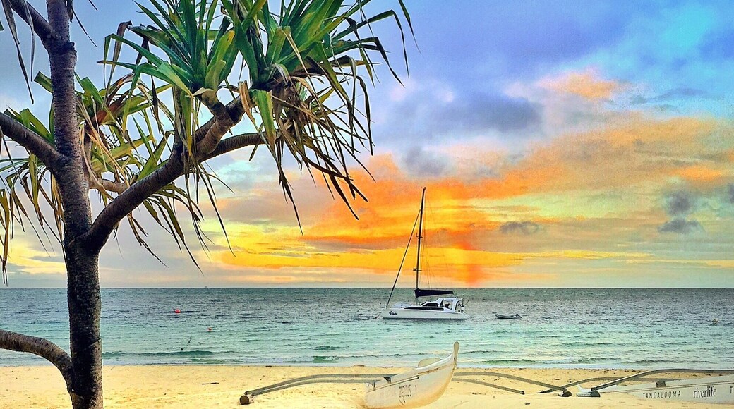 Good morning Tangalooma! Stunning start to the day overlooking Moreton Bay! Happy Friday! 🌅🐠🌴😀
@tangaloomaislandresort #tangaloomaisland #visitbrisbane #thisisqueensland #seeaustralia