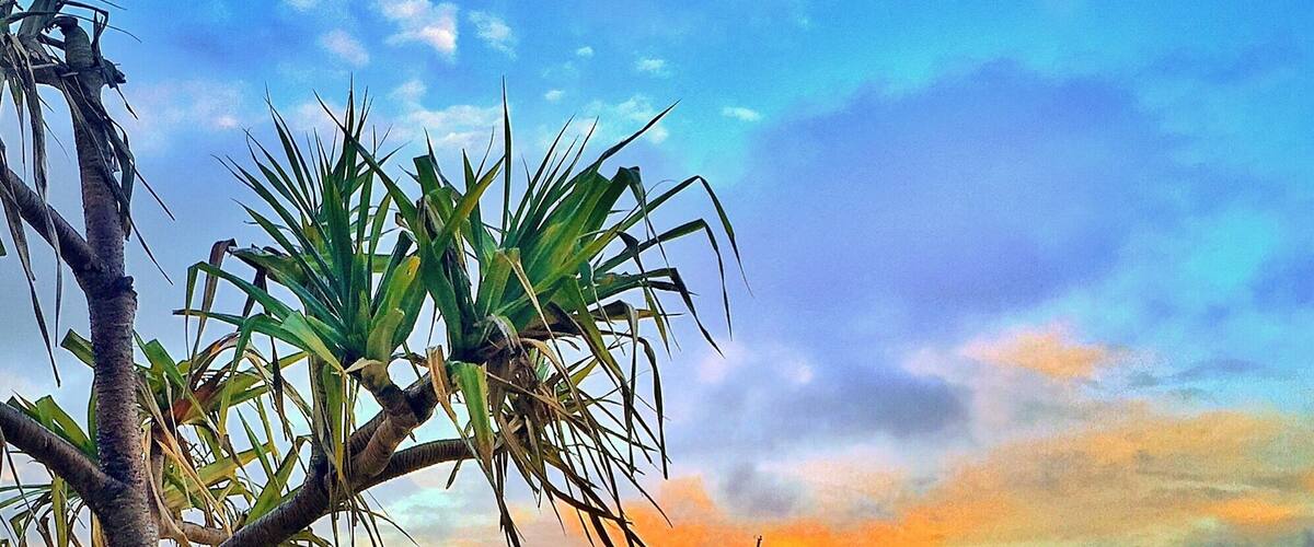 Good morning Tangalooma! Stunning start to the day overlooking Moreton Bay! Happy Friday! 🌅🐠🌴😀
@tangaloomaislandresort #tangaloomaisland #visitbrisbane #thisisqueensland #seeaustralia