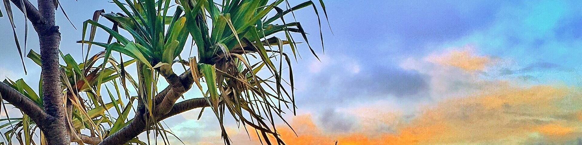 Good morning Tangalooma! Stunning start to the day overlooking Moreton Bay! Happy Friday! 🌅🐠🌴😀
@tangaloomaislandresort #tangaloomaisland #visitbrisbane #thisisqueensland #seeaustralia