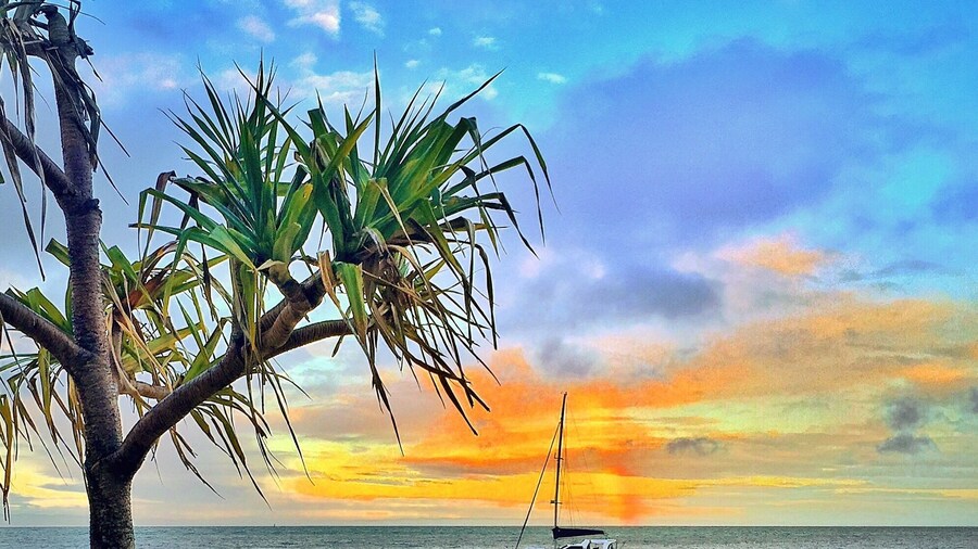 Good morning Tangalooma! Stunning start to the day overlooking Moreton Bay! Happy Friday! 🌅🐠🌴😀
@tangaloomaislandresort #tangaloomaisland #visitbrisbane #thisisqueensland #seeaustralia