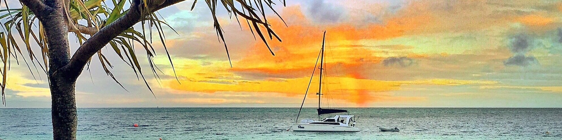Good morning Tangalooma! Stunning start to the day overlooking Moreton Bay! Happy Friday! 🌅🐠🌴😀
@tangaloomaislandresort #tangaloomaisland #visitbrisbane #thisisqueensland #seeaustralia