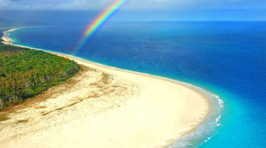 Chasing rainbows and searching for the pot of gold with @tangaloomaheli on Moreton Island! Happy hump day! 🌈🚁☀️🐠🌴😀
@tangaloomaislandresort #thisisqueensland #seeaustralia #gopro #goproau