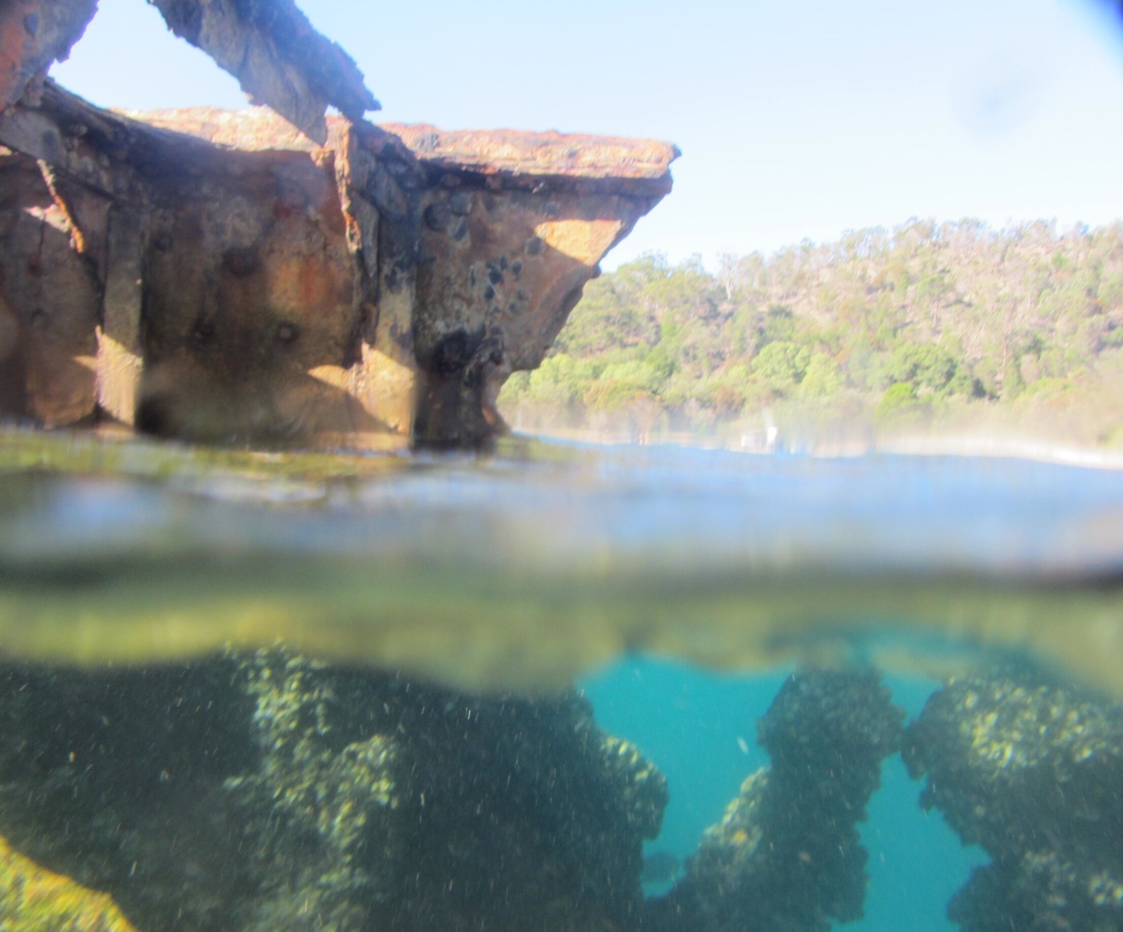 Snorkeled the (man made) ship wrecks off the coast of Tangalooma Island! 