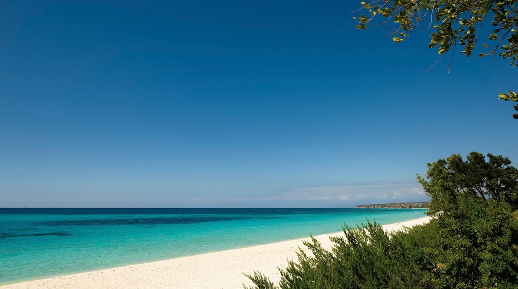 Barahona que incluye escenas tropicales, vistas de paisajes y una playa de arena