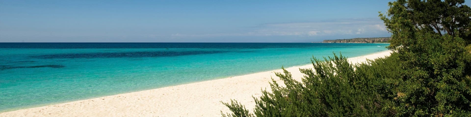 A beach with clear turquoise water, white sand, and green foliage.