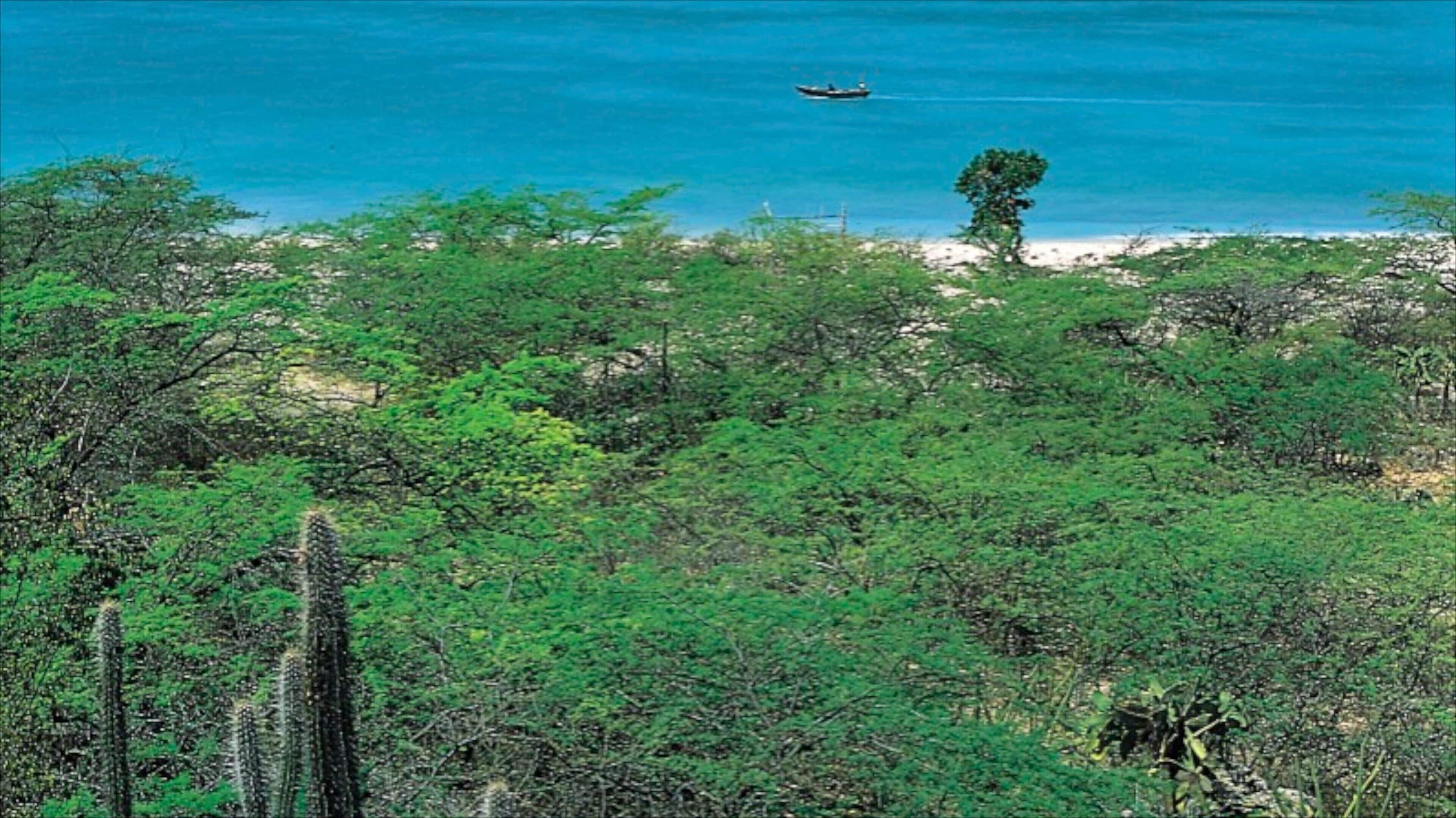Barahona