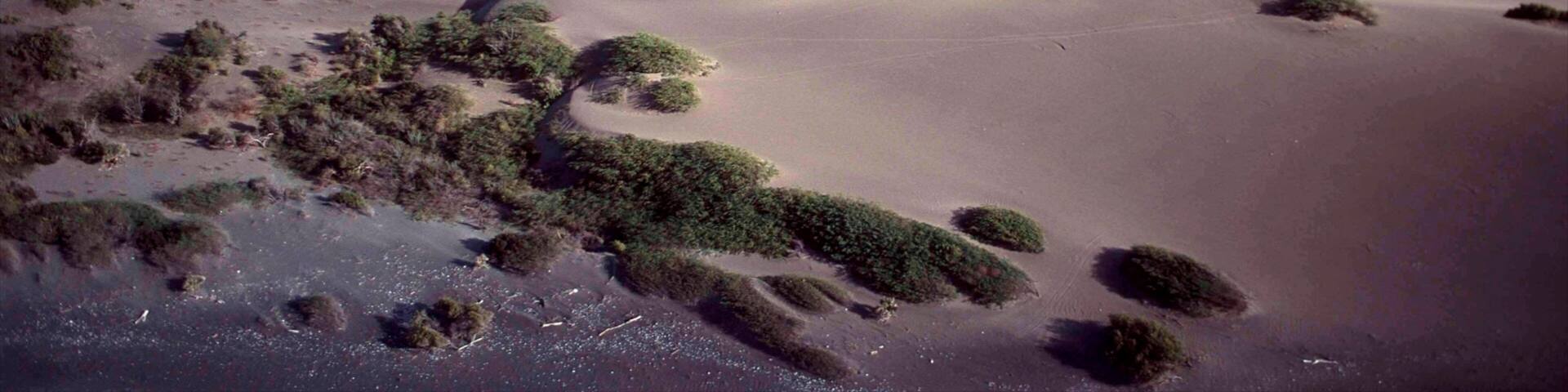 Barahona mostrando vista panorámica, escenas tropicales y vista general a la costa