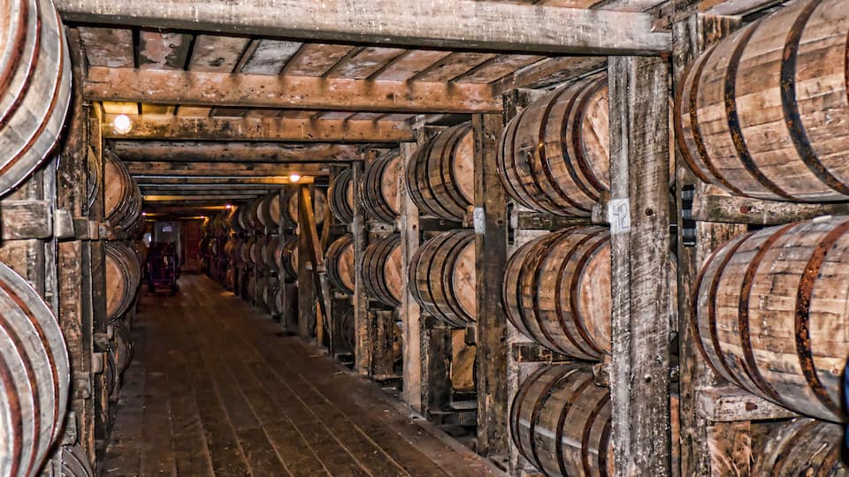 A cellar with wooden barrels arranged in rows.