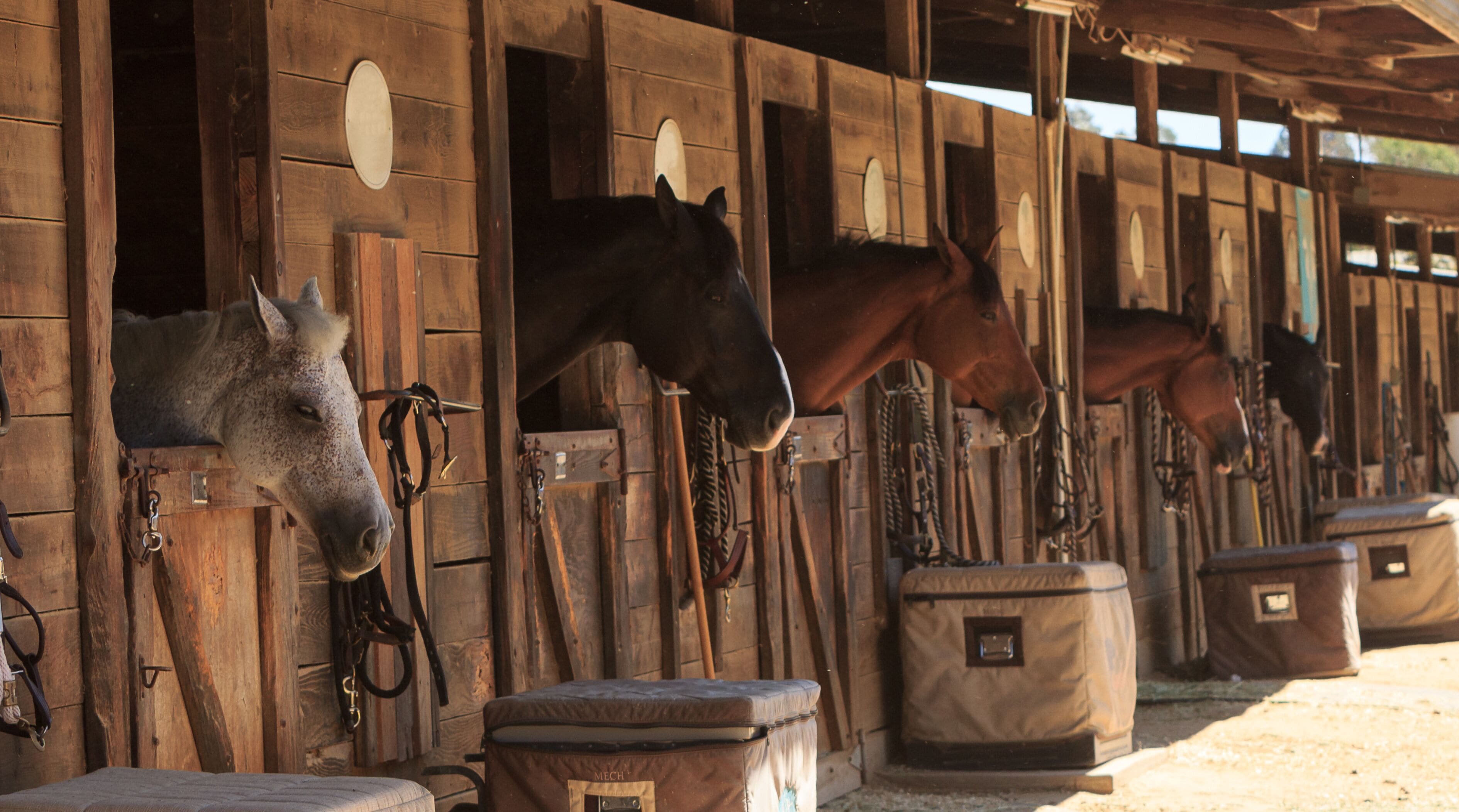 Un establo con boxes de madera, caballos y comederos.