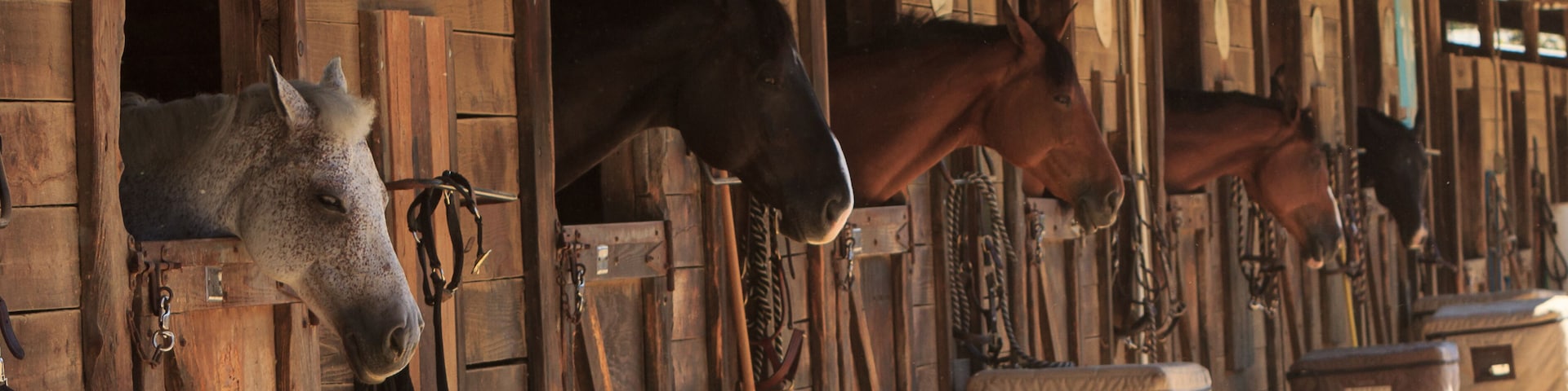 Un establo con boxes de madera, caballos y comederos.
