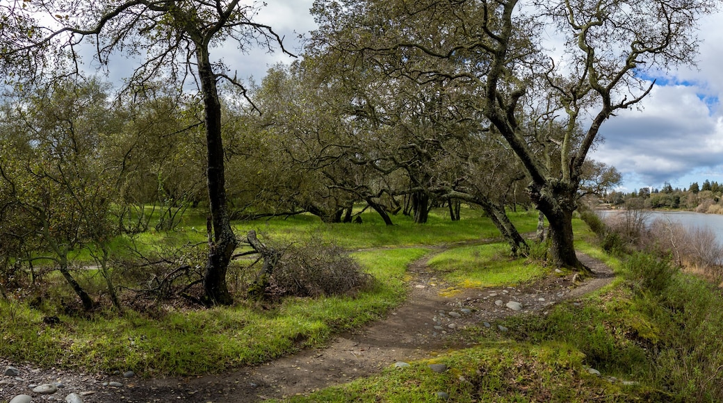 Rocklin
