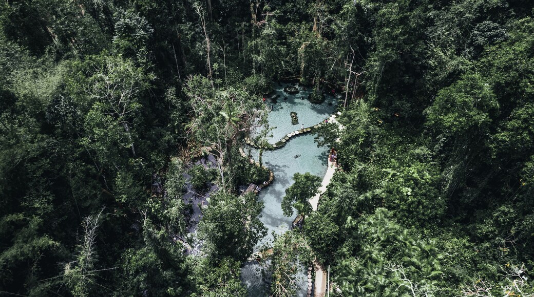 Nam Rad Bos Bronwater