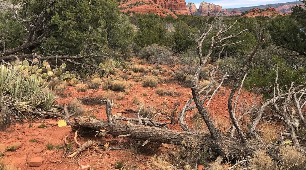 Great hiking near Sedona Arizona.