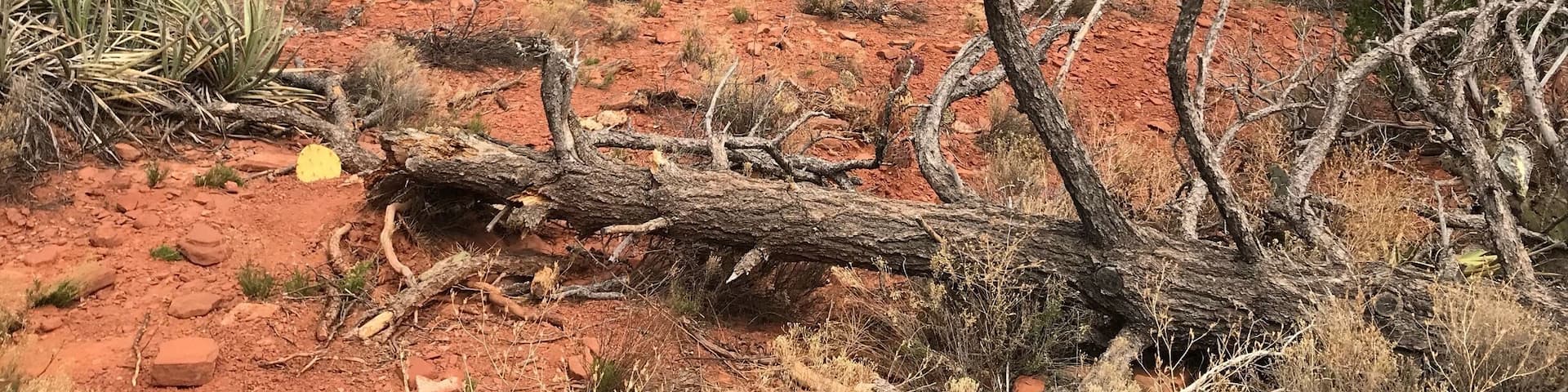 Great hiking near Sedona Arizona.