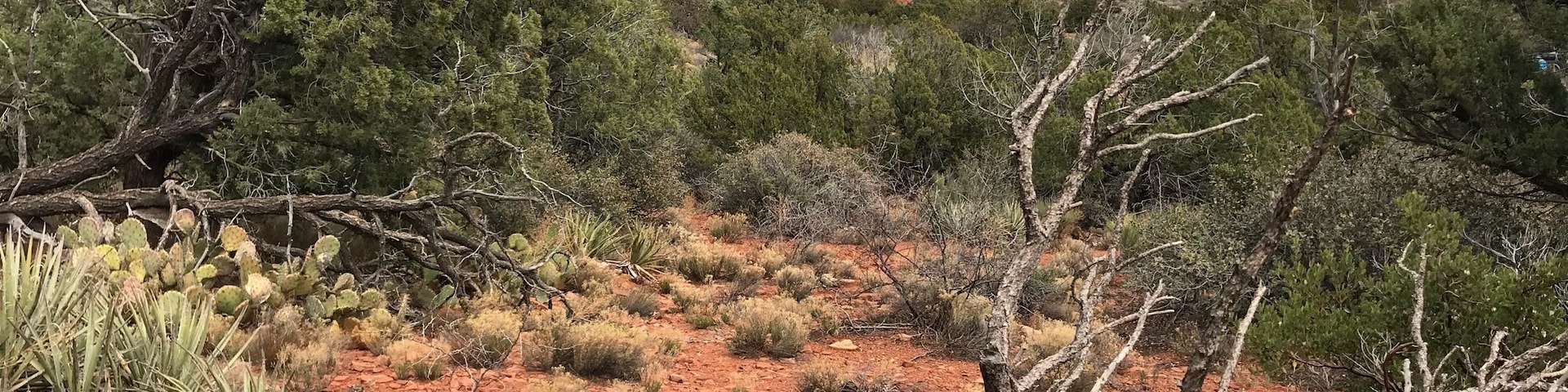 Great hiking near Sedona Arizona.