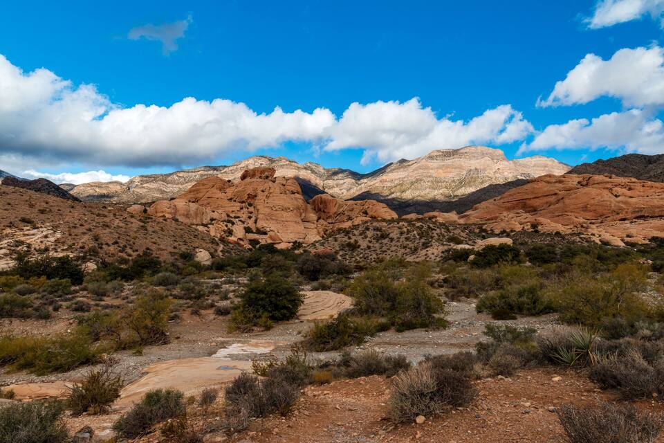 A desert landscape with red rock formations, sparse vegetation, and a clear blue sky.