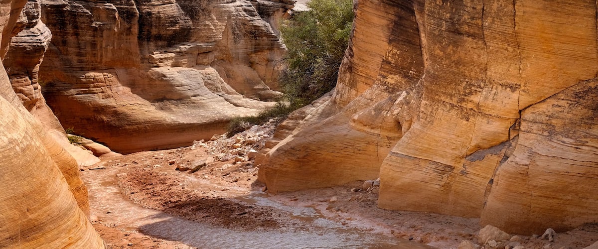 Willis Creek Slot Canyon in the Grand Staircase, Escalante..  A hiker friendly slot canyon in Utah formed from Navajo sandstone.