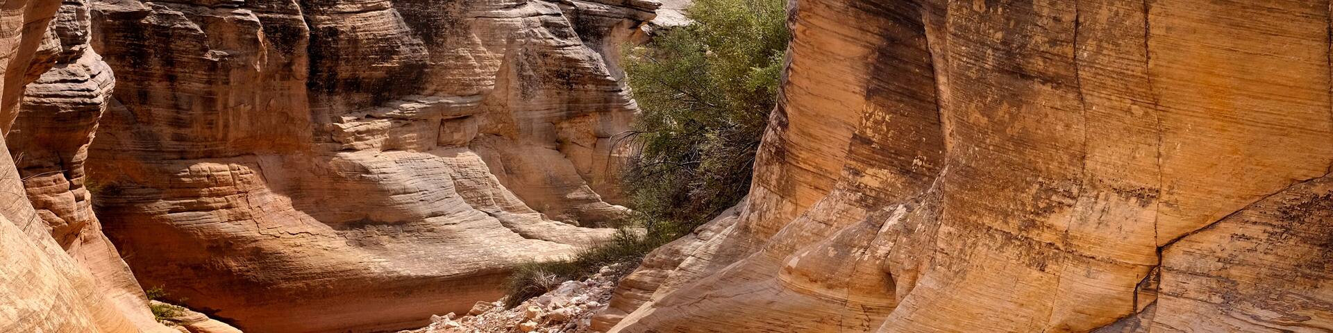 A canyon with layered rock formations and a narrow stream.