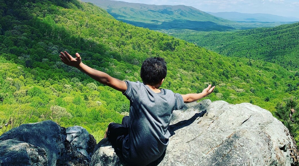 You can view rows upon rows of mountains as the clouds shadows dance over the forest. #adventure