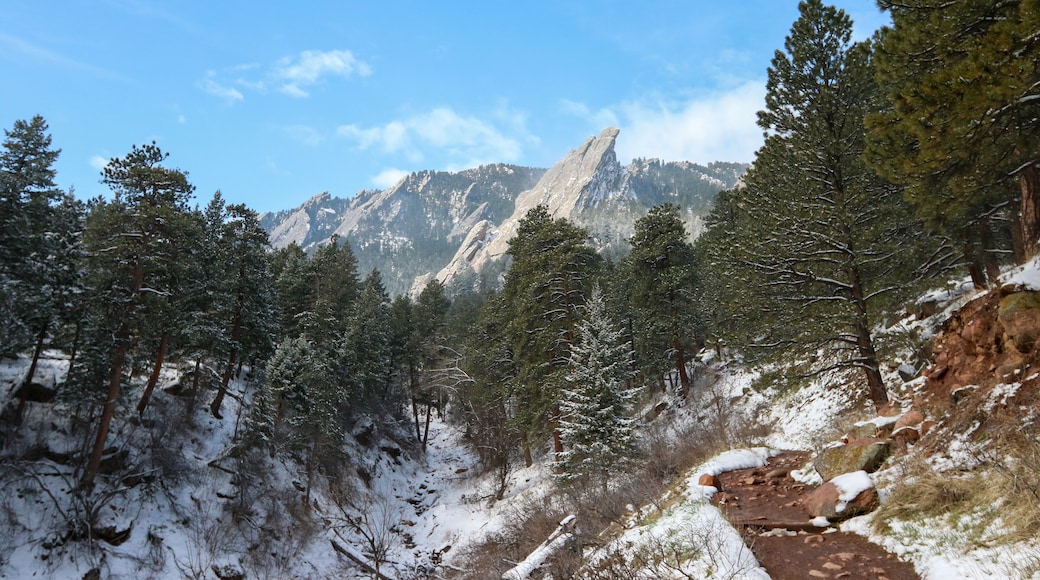 Summit Flats Trailhead
