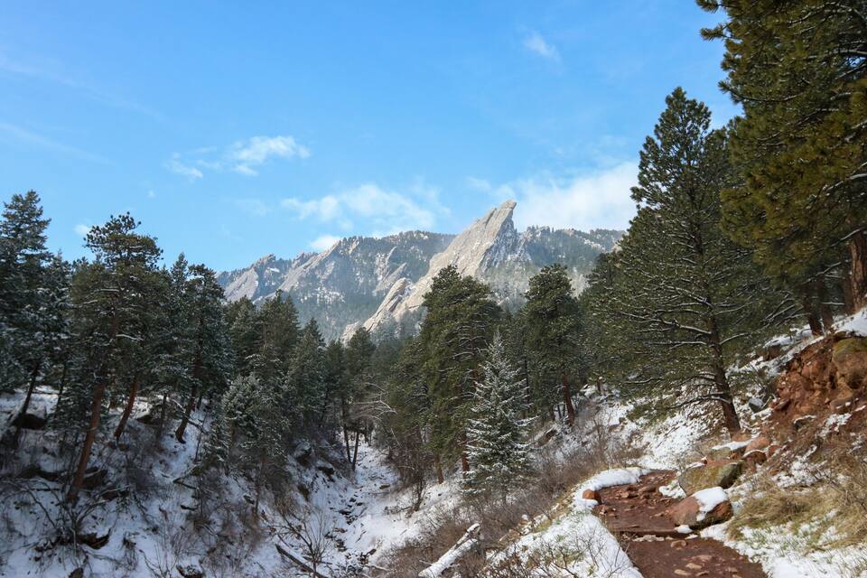 A snowy mountain landscape with a prominent rock formation and dense pine forest.