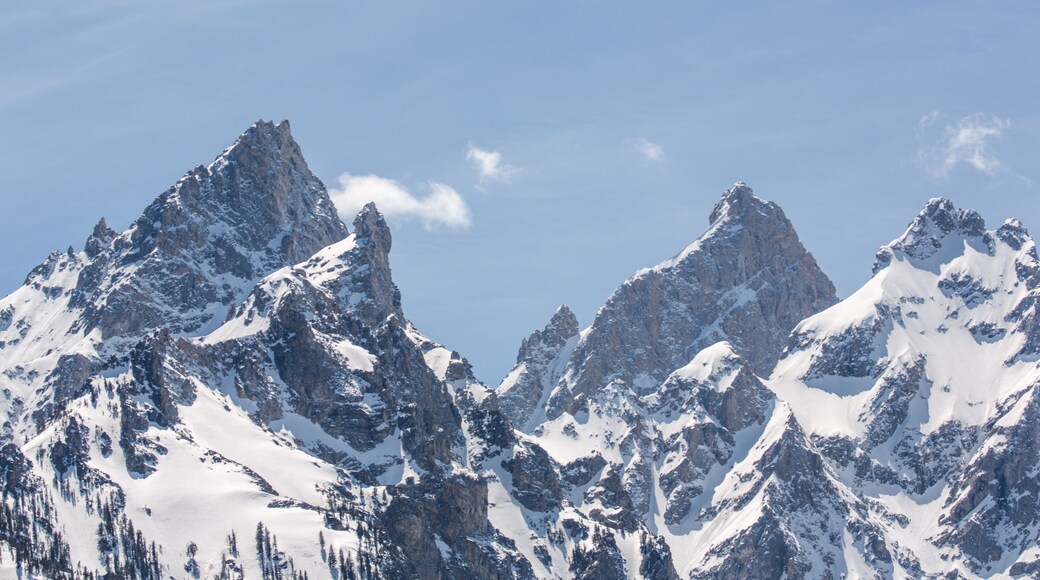 Snowcapped Grand Teton Peak (correct name is 'Hayden Peak') can be seen from almost anywhere in Grand Teton National Park. Taken in mid-May during the afternoon.