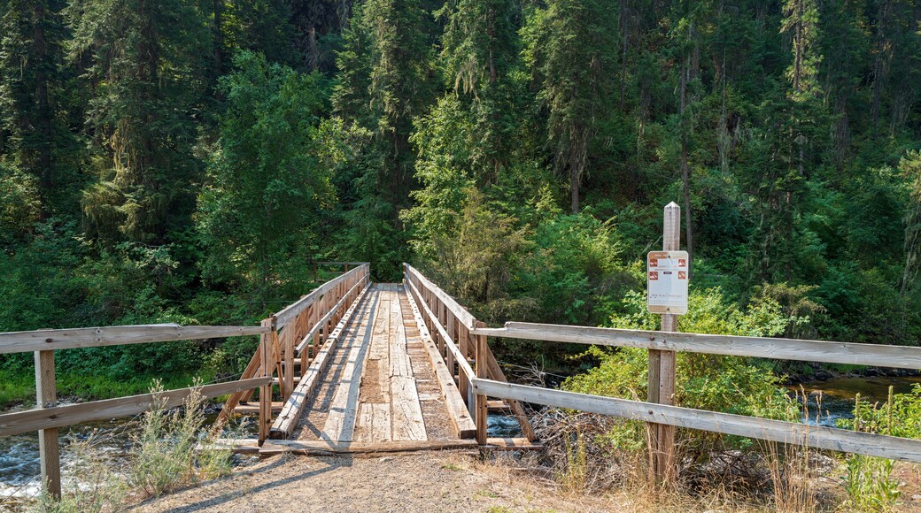 約翰斯溪步道起點