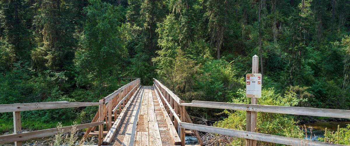 Footbridge at the Johns Creek Trailhead in Idaho, USA