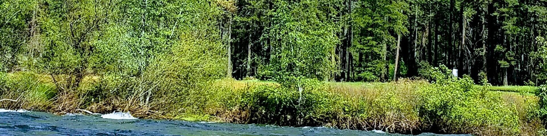 Una cascada se precipita por un acantilado escarpado rodeado de bosque denso.