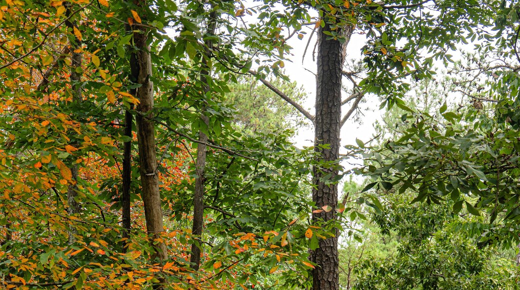 Nature Trails Trailhead