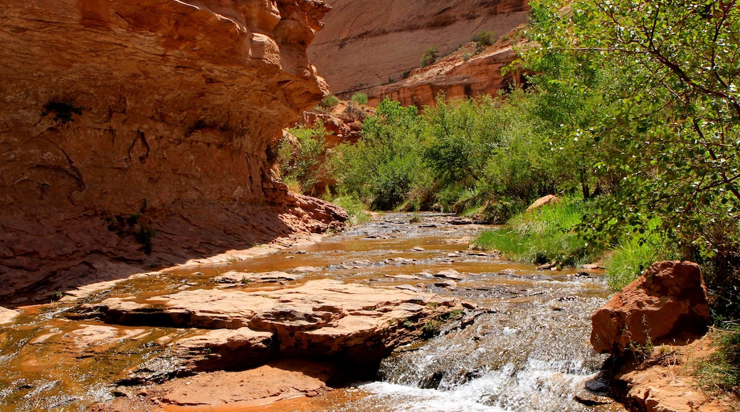 ロッククリークトレイルヘッド
