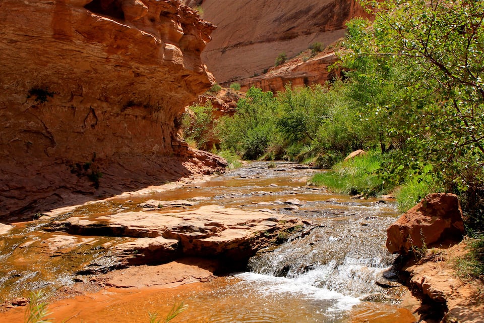 Un río serpentea por un cañón con formaciones rocosas rojas y vegetación verde.