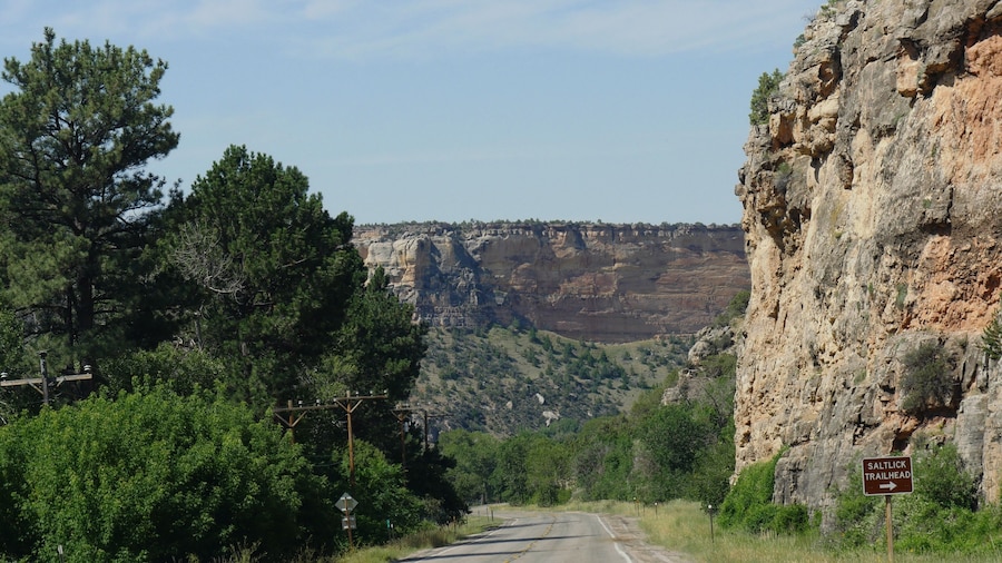 Saltlick Trailhead