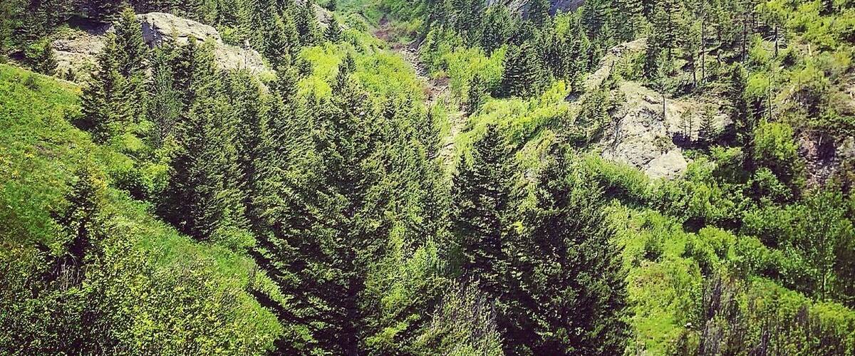 Back side of the bridger mountains.