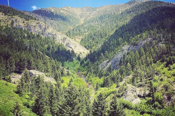 Back side of the bridger mountains.