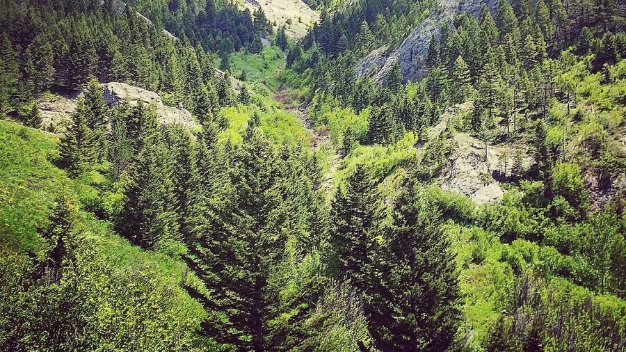 Back side of the bridger mountains.