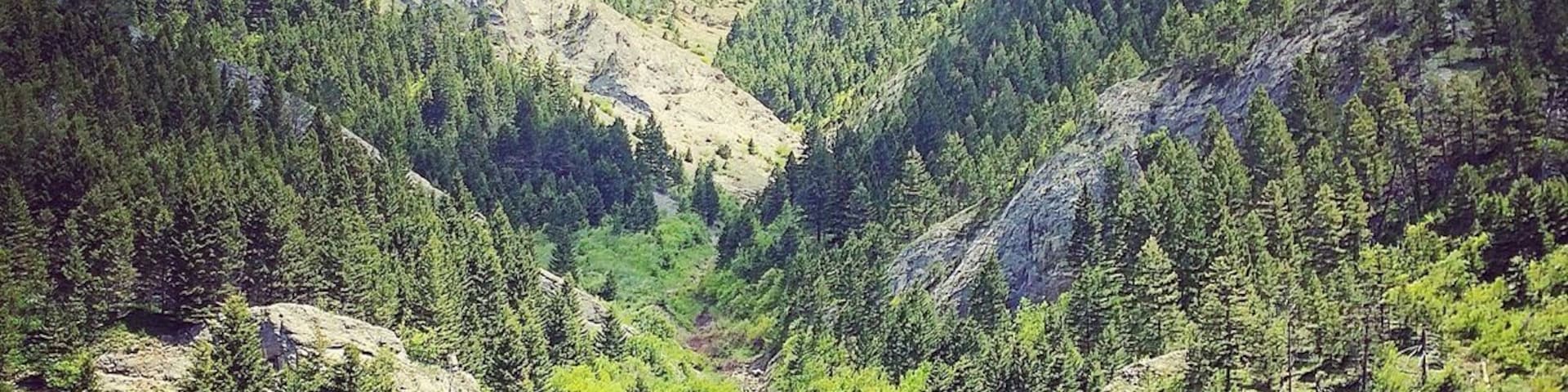 Back side of the bridger mountains.