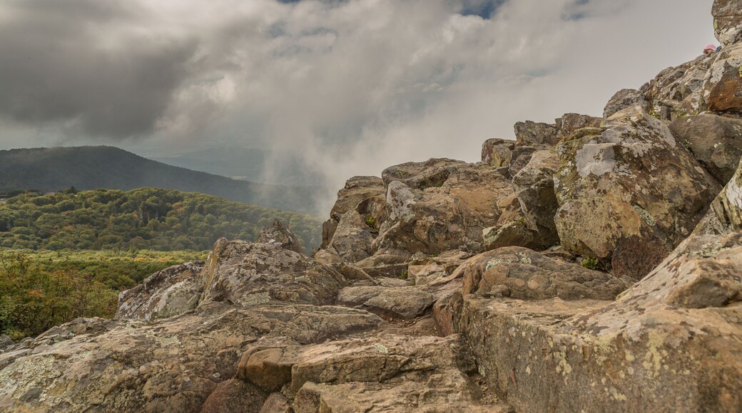 Stony Man Trail Head
