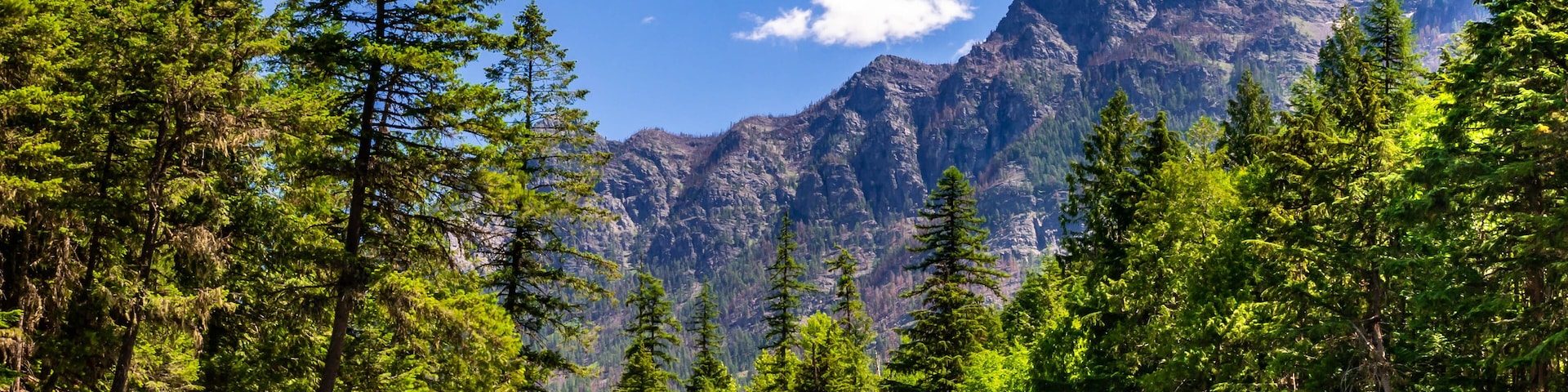 This horse bridge is part of the Johns Lake Loop Trail and spans McDonald Creek in Glacier National Park.