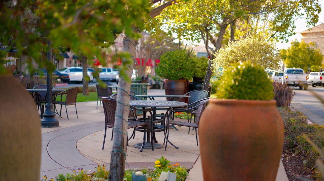 The Fountains Roseville