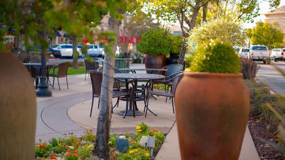 The Fountains Roseville