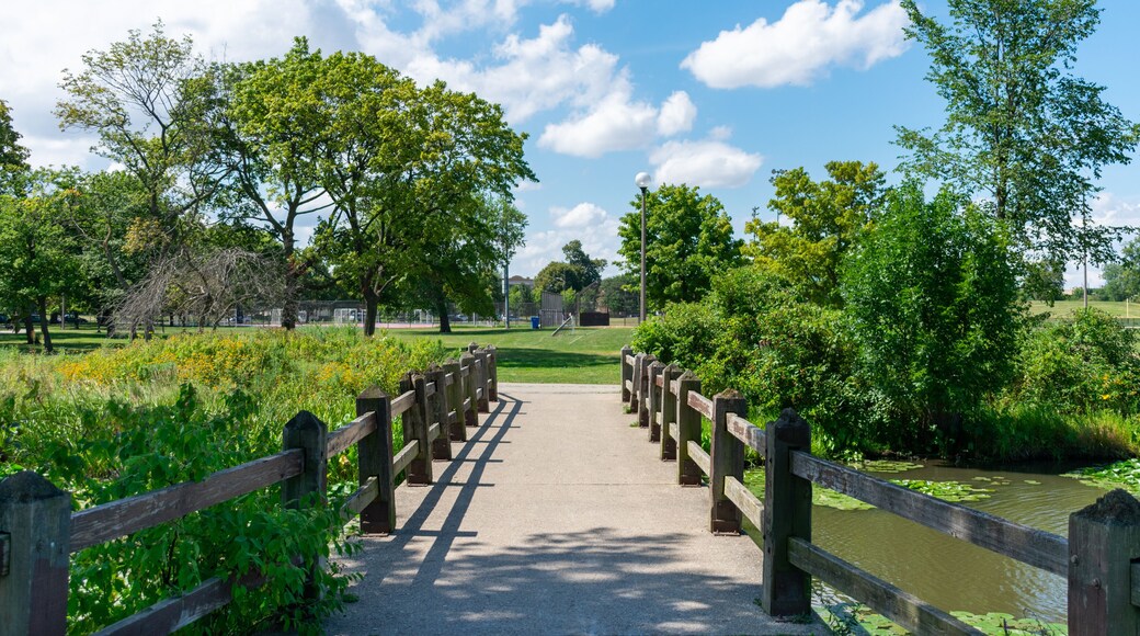 Bridge over a Stream at Humboldt Park in Chicago during Summer