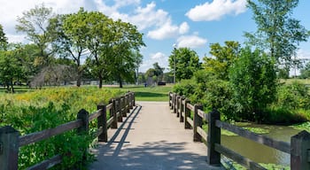A wooden bridge over a calm river with lush greenery and trees on either side.