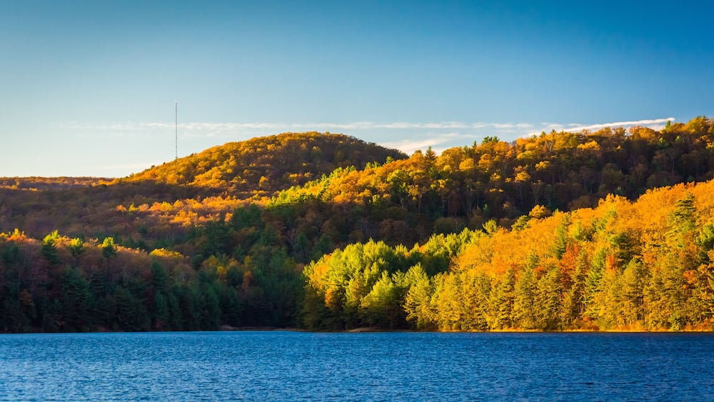 Autumn color at Long Pine Run Reservoir, in Michaux State Forest
