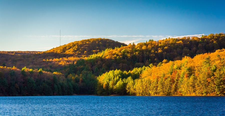 Autumn color at Long Pine Run Reservoir, in Michaux State Forest