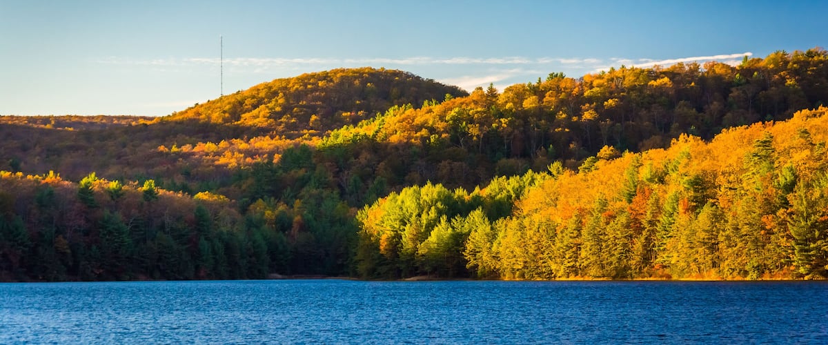 Autumn color at Long Pine Run Reservoir, in Michaux State Forest