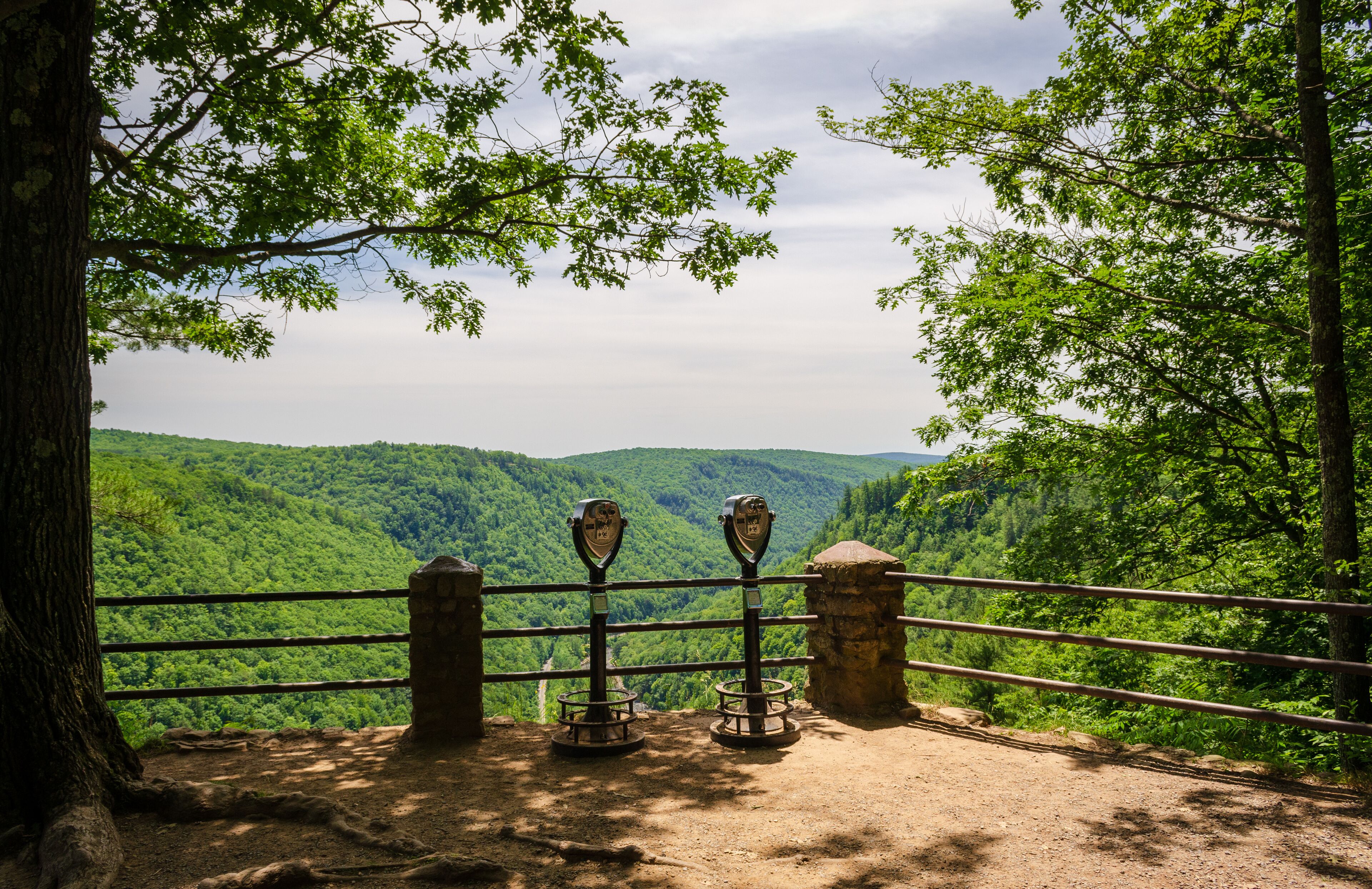 Pine Creek Gorge, or the The Grand Canyon of Pennsylvania, USA