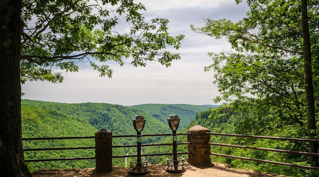 Pine Creek Gorge, or the The Grand Canyon of Pennsylvania, USA