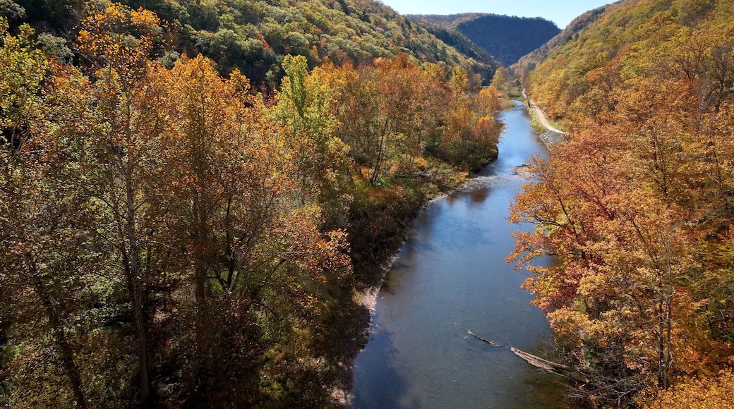 Peaceful Pine Creek flowing through mountains in Autumn Fall colors in trees at The Pennsylvania Grand Canyon vacation destination for sight seeing beautiful countryside in America.